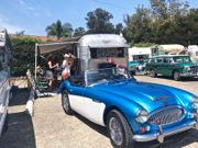 David DeLorie's 1966 Austin Healey BJ8