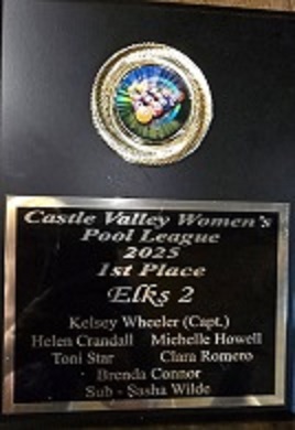 Congratulations to the ladies who won 1st Place for Elks #2 in the women's pool league!