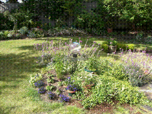 Glow in the dark gazing ball.
Won by Tracy Gardner at the Enchillada Dinner.  Now it's in Jan's Garden.  Thanks Tracy!