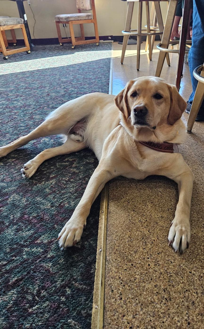 Maverick enjoyed the popcorn. 