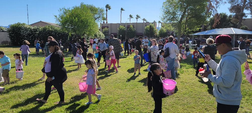 The hunt for eggs is on!!