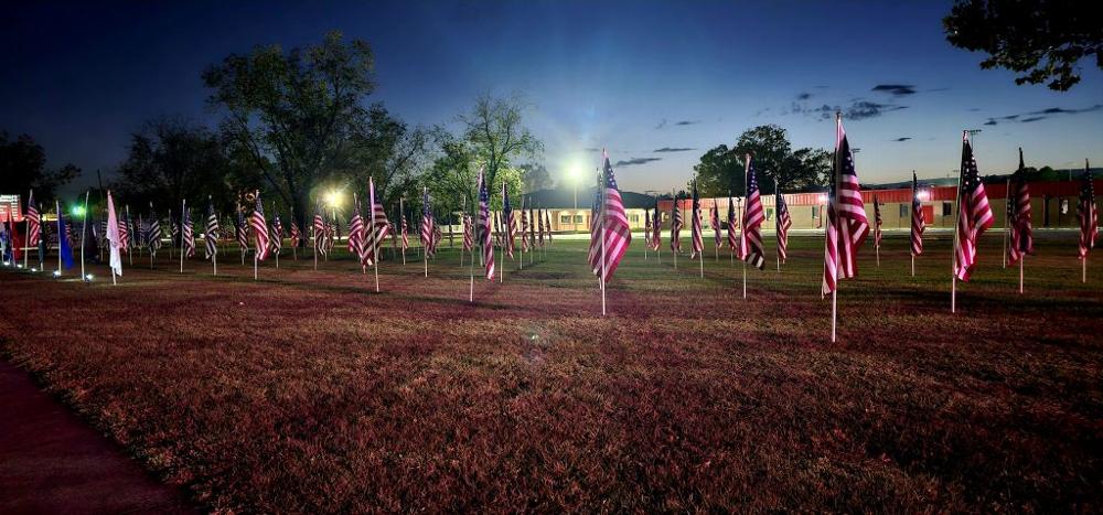 Field of Flags